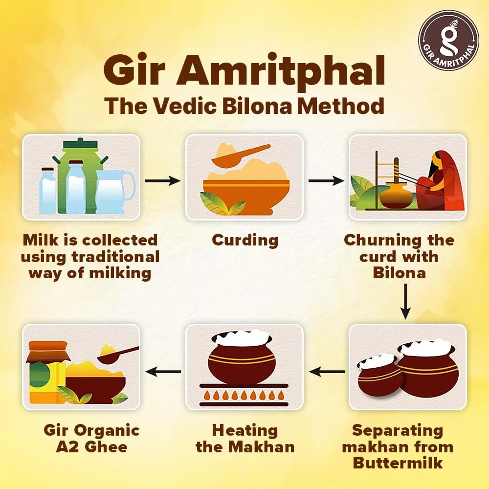 A2 Pure Desi Gir Cow Ghee Vedic Bilona Method 1000 ML Combo Pack of 2 - Image 6