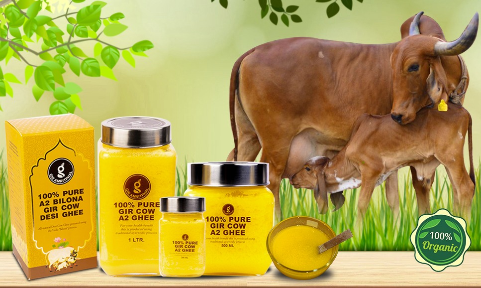 A2 GIR cow ghee