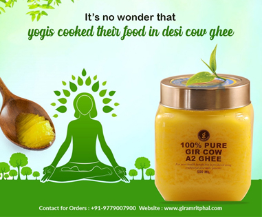 it-s-no-wonder-that-yogic-cooked-their-food-in-desi-cow-ghee-L