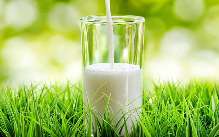 what-is-a2-milk-and-what-are-its-benefits