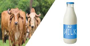 A2 Milk Gurgaon