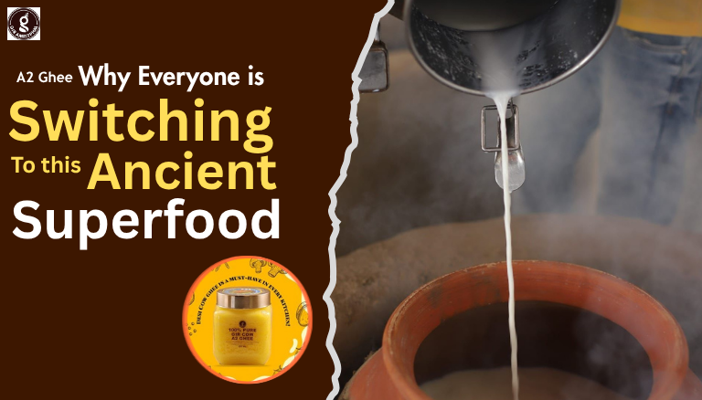 A2 Ghee: Why Everyone is Switching to This Ancient Superfood