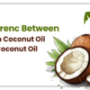Difference Between Virgin Coconut Oil and Coconut Oil